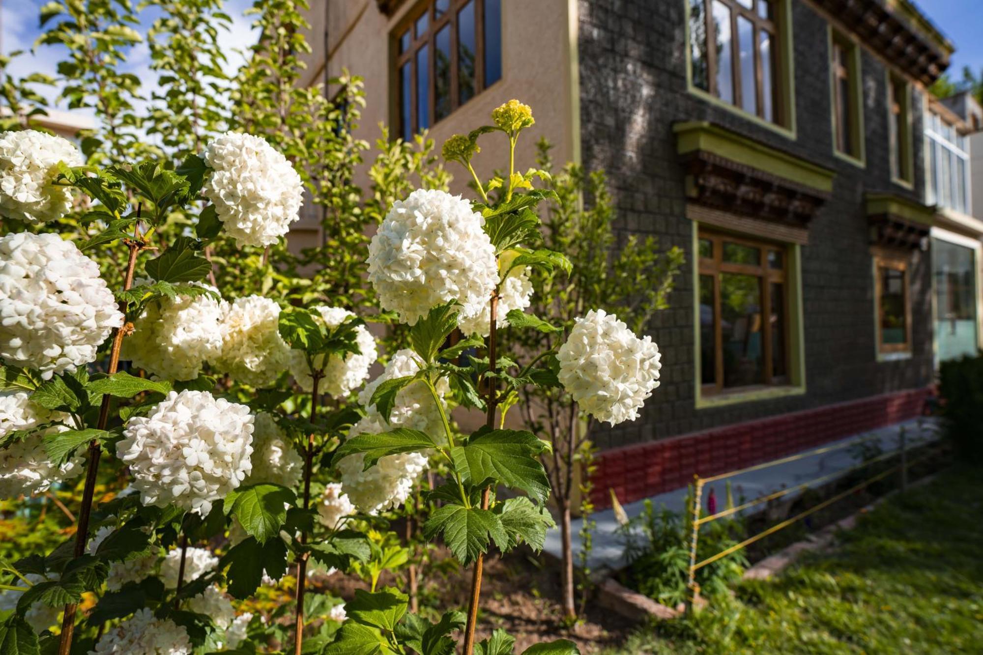 Rainbow Holiday Home Λεχ Εξωτερικό φωτογραφία